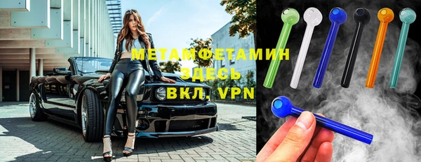 прущие грибы Верея