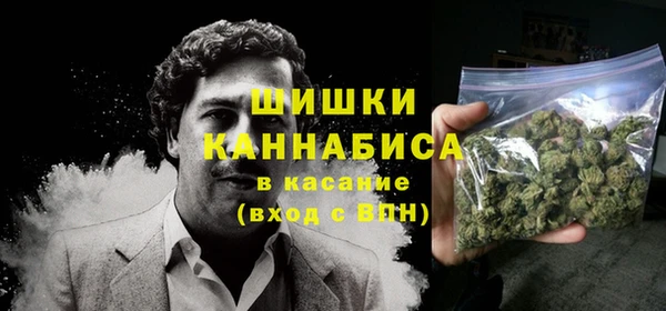 гашик Богородск